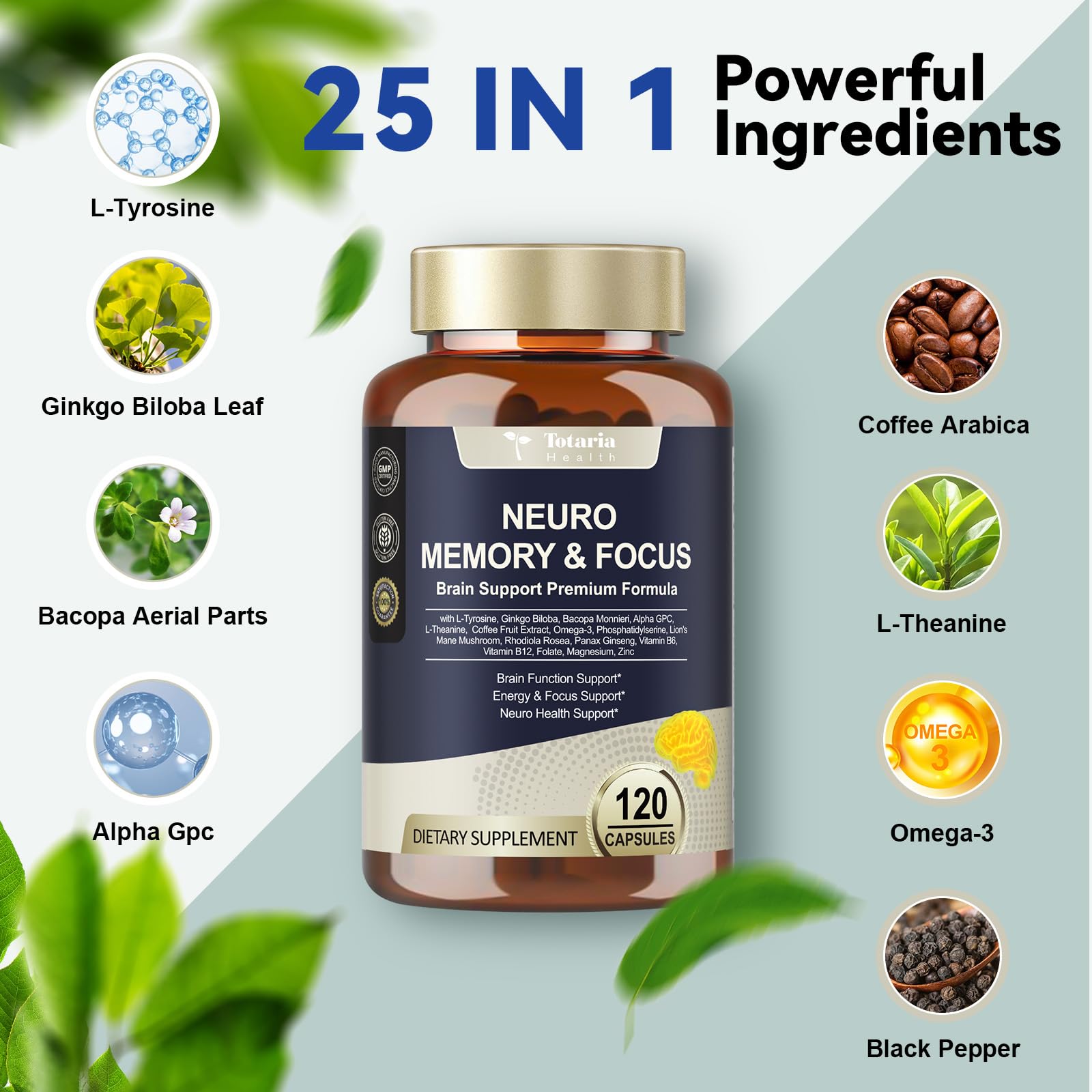 Totaria hojas de Ginkgo y Bacopa evidencian origen vegetal