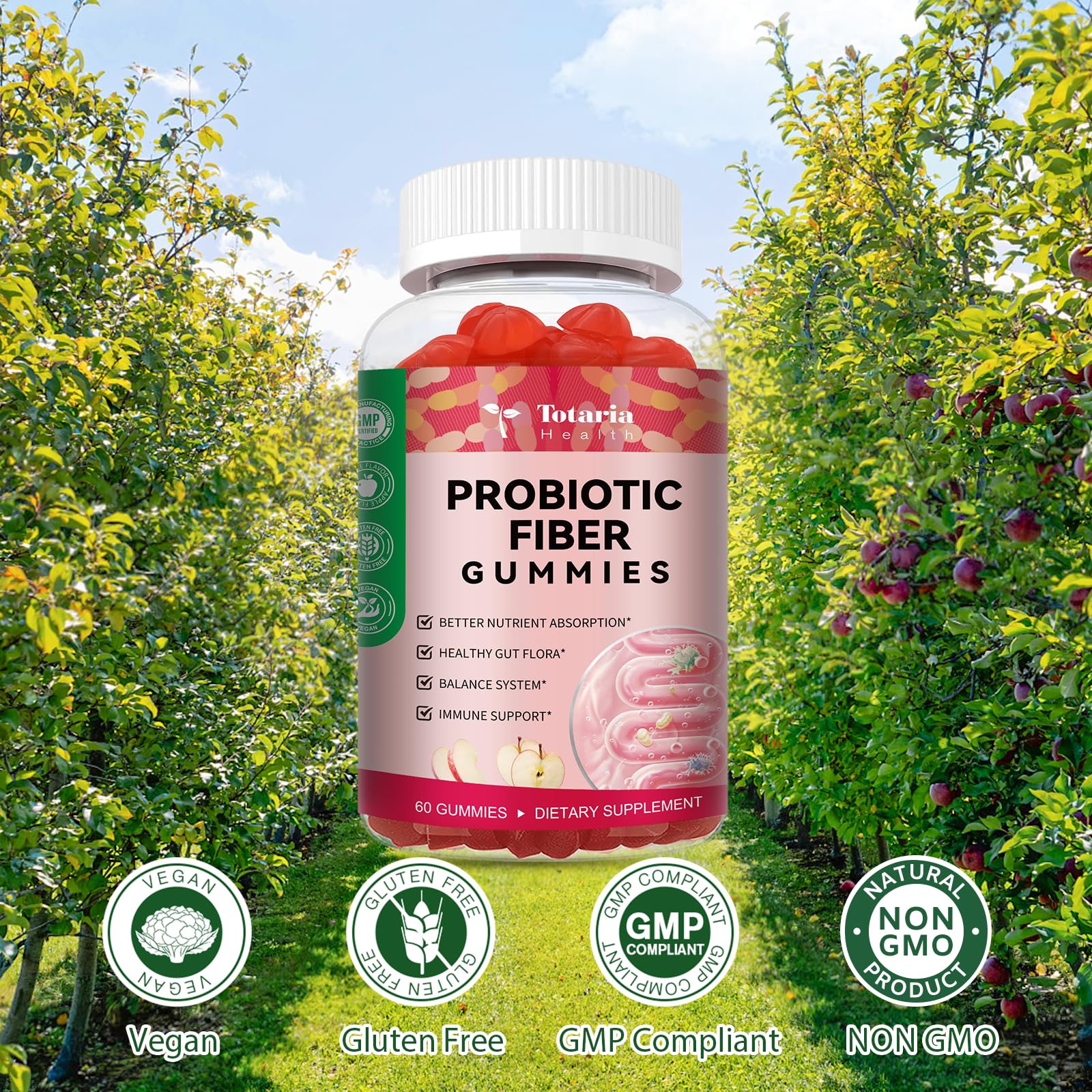 Totaria ingredientes psyllium y chía mostrando la base de fibra natural