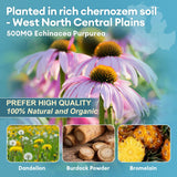 Totaria mezcla de raíces y hierbas secas que ilustra ingredientes naturales