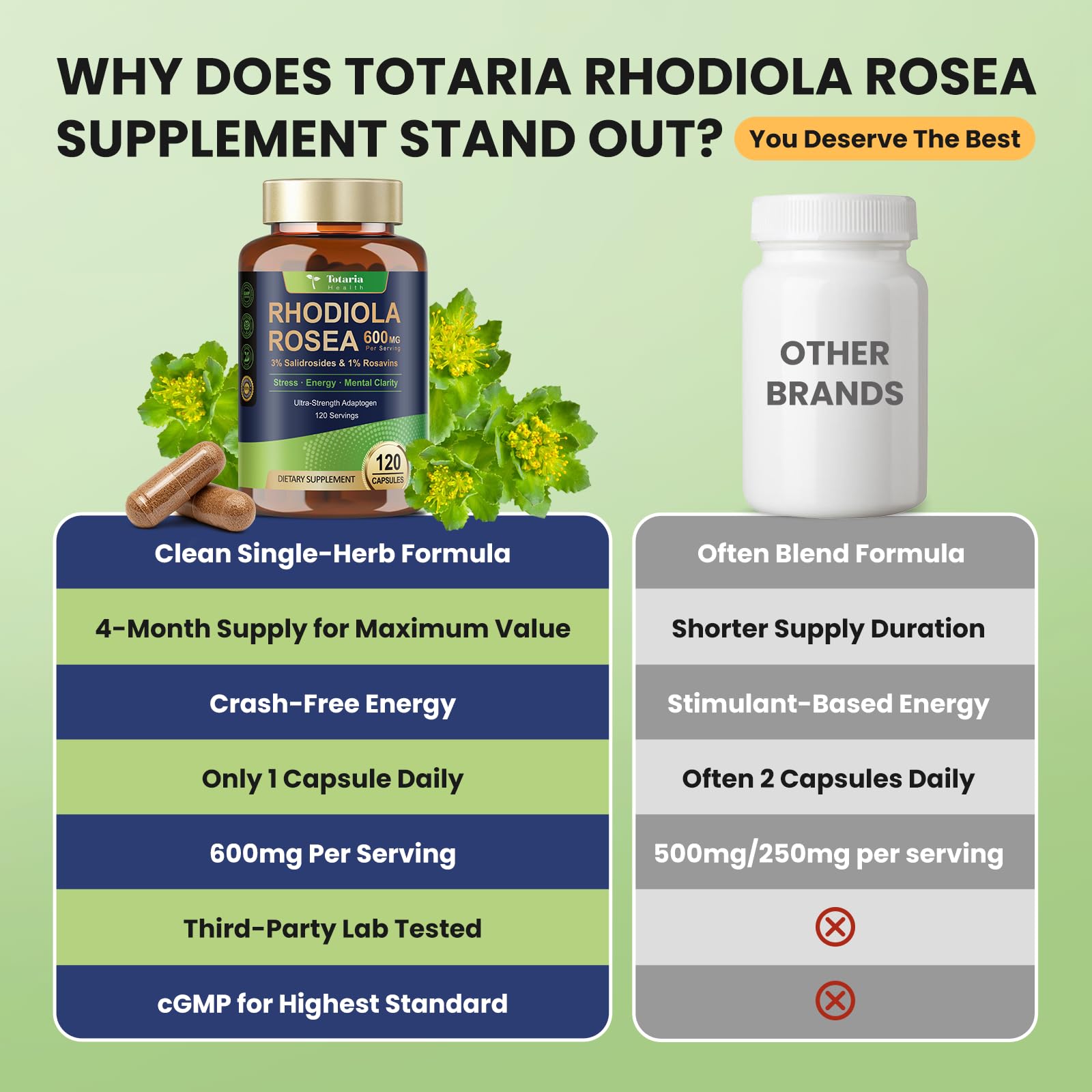 Totaria producto en escritorio mostrando enfoque y energía diaria