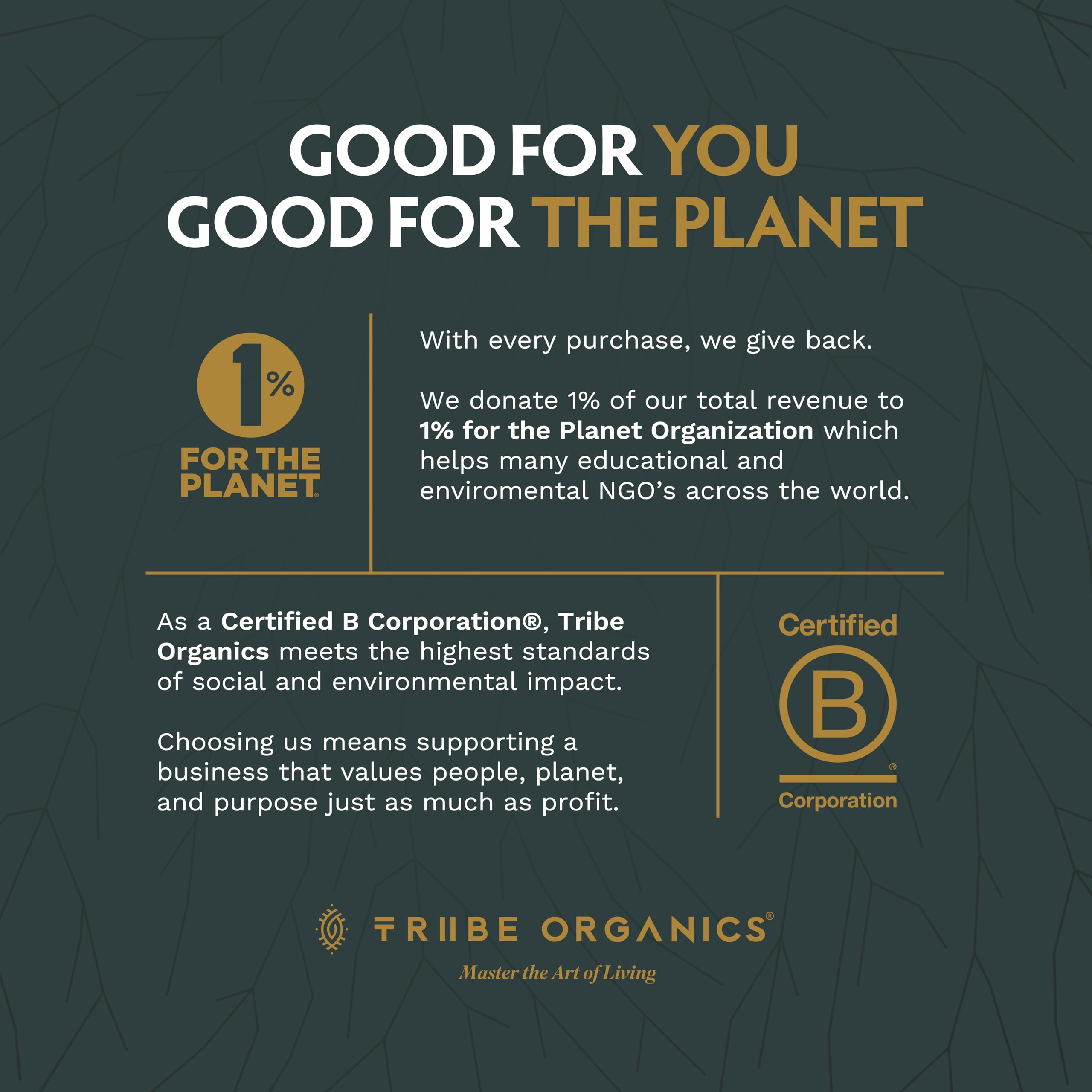 TRIBE ORGANICS producto en ambiente lifestyle que evoca energía activa