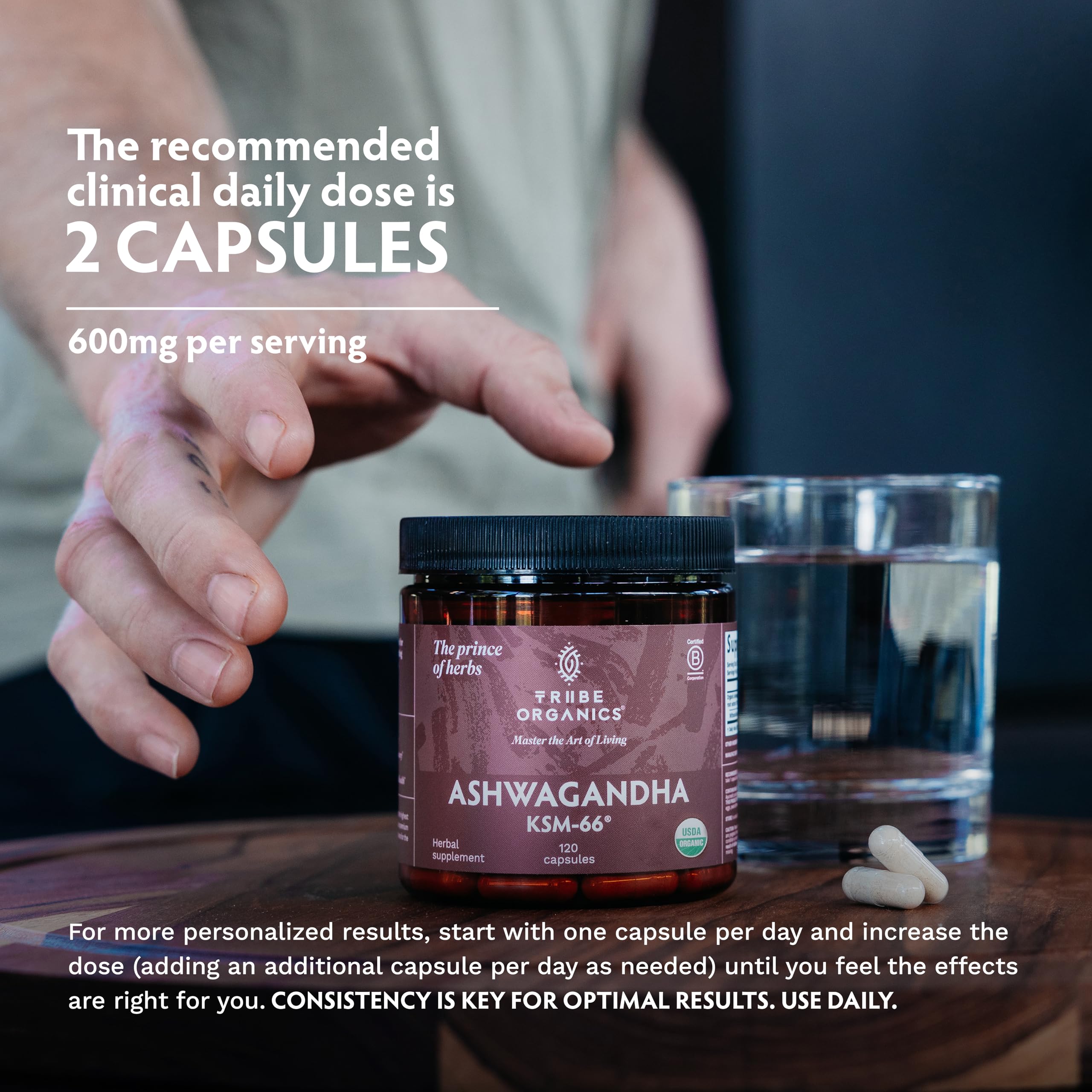 TRIBE ORGANICS etiqueta con ingredientes y estandarización 5% withanolides