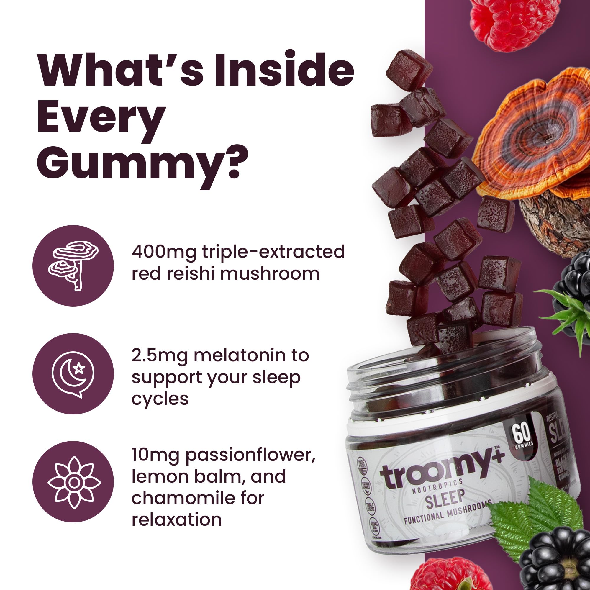 Troomy Nootropics etiqueta con lista de ingredientes y concentraciones claras
