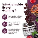 Troomy Nootropics etiqueta con lista de ingredientes y concentraciones claras