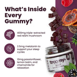 Troomy Nootropics gomita en mano para comparar tamaño y facilitar la dosis