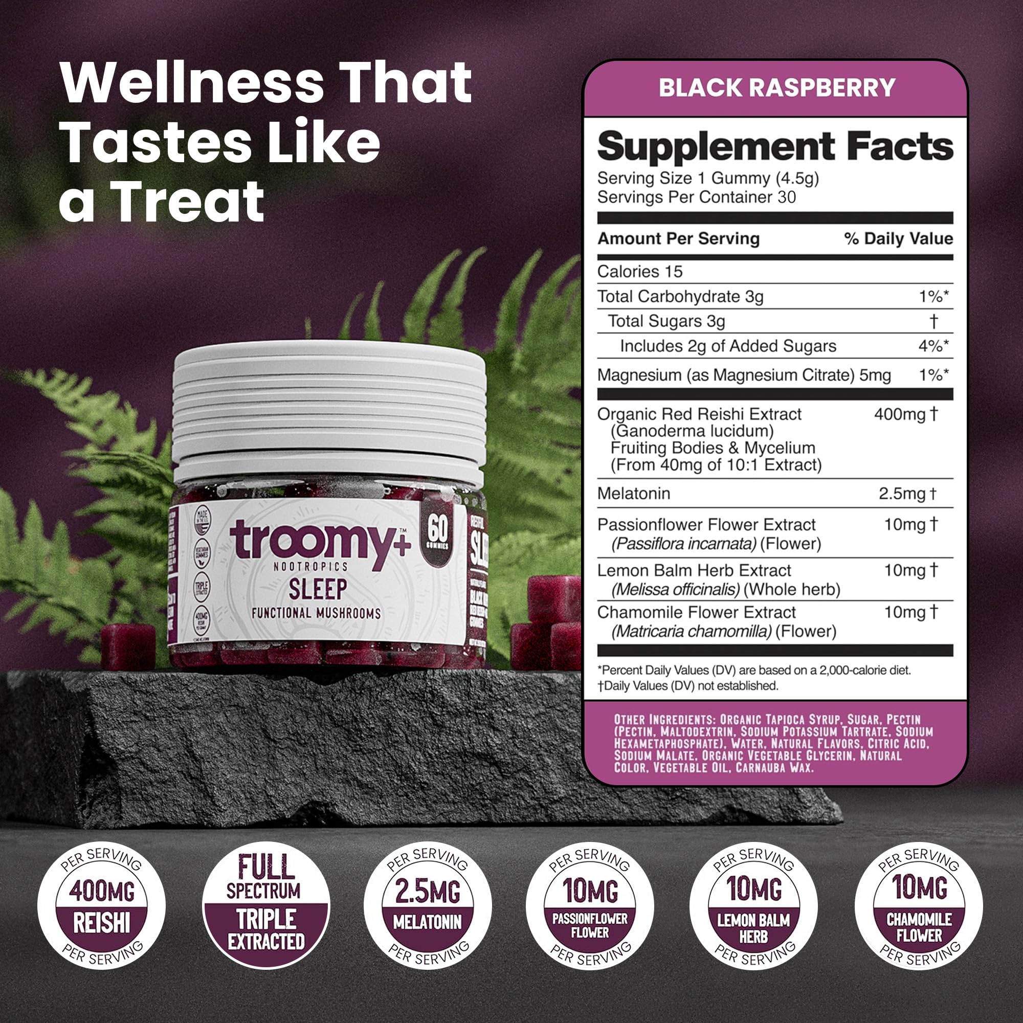 Troomy Nootropics una porción en mano para ilustrar tamaño y dosificación práctica
