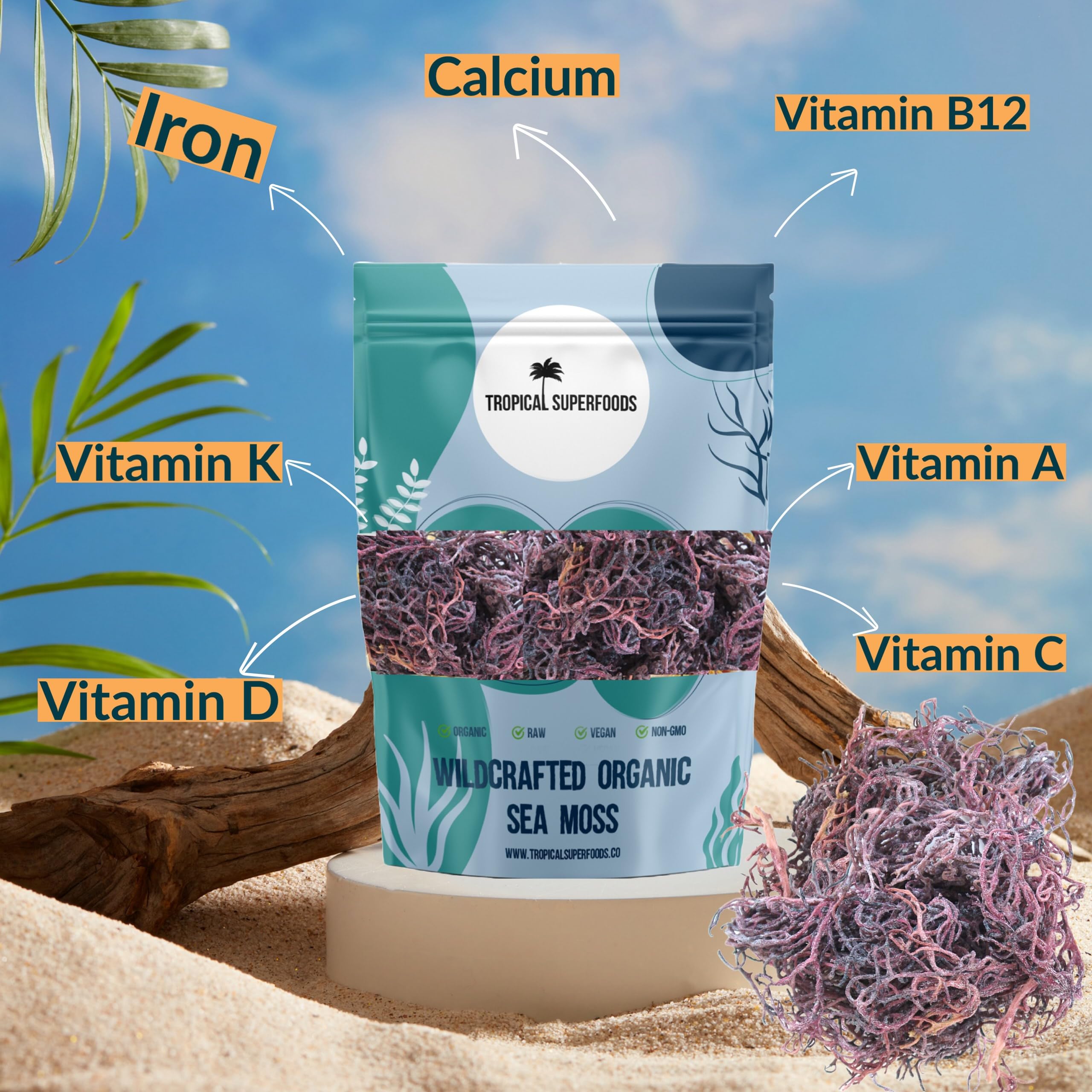 Tropical Superfoods textura cercana del alga secada al sol, conserva minerales