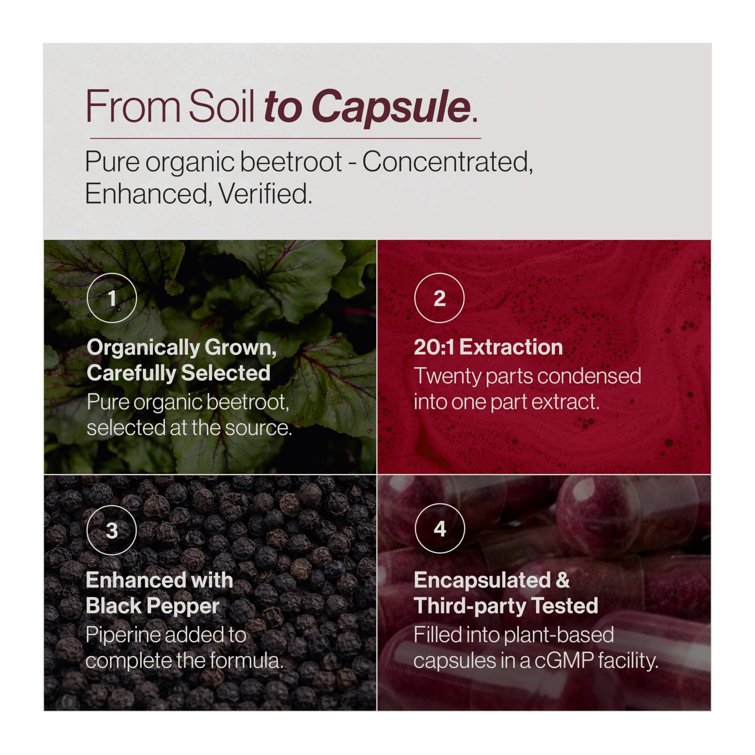 TRUE BEETS etiqueta con información de concentración 20:1 y orgánico