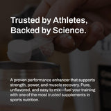True Nutrition mezcla en batido postentrenamiento para recuperación y potencia