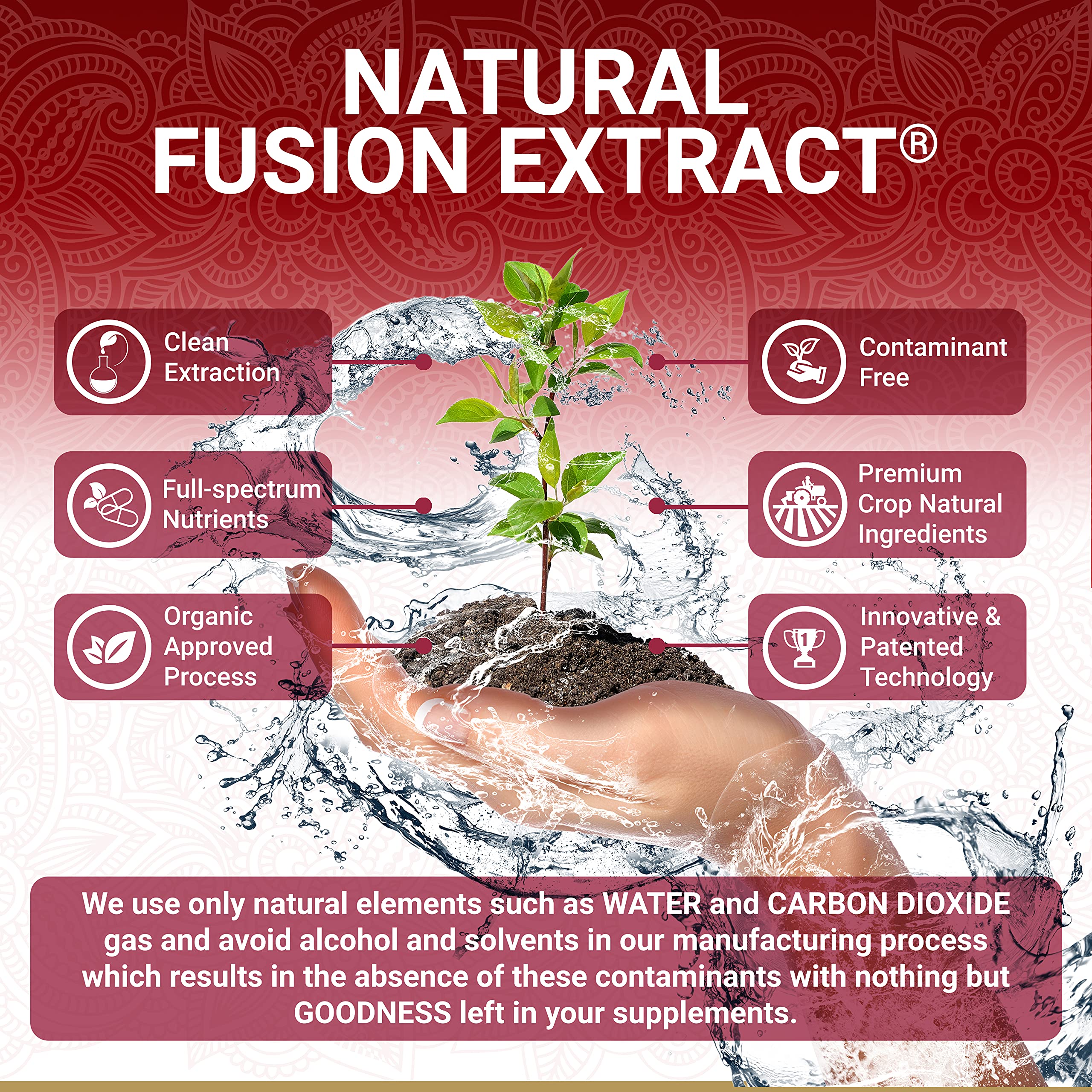 True Veda proceso de extracción natural agua y CO2, conserva compuestos activos