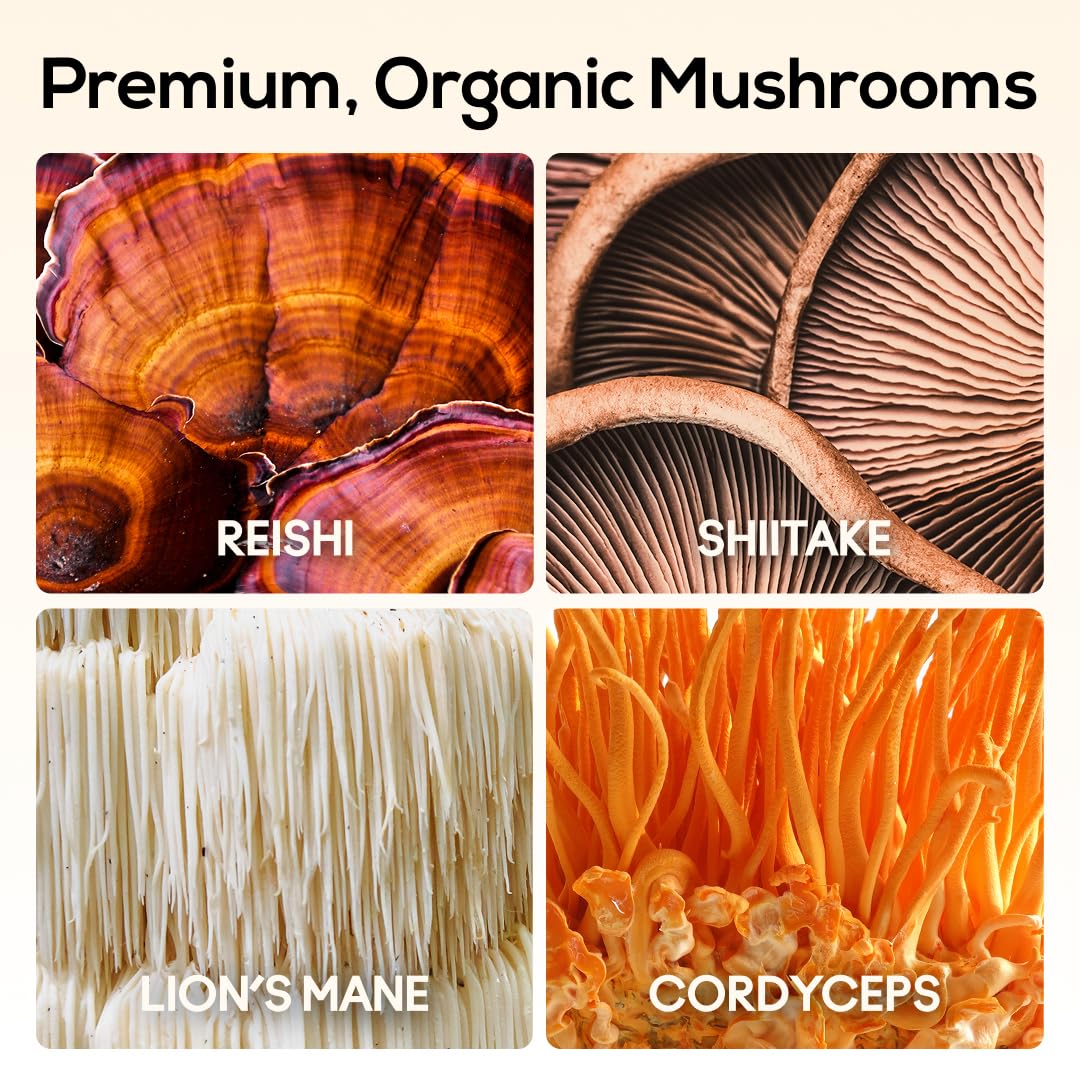 TrueMushroom gomita en mano lista para tomar, conveniencia diaria