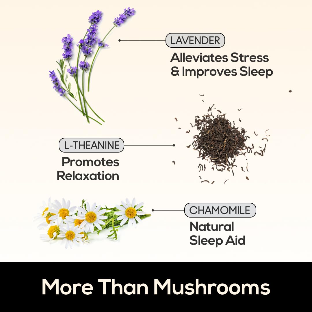 TrueMushroom ingredientes orgánicos de hongos en primer plano, pureza