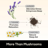 TrueMushroom ingredientes orgánicos de hongos en primer plano, pureza
