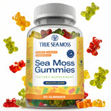 TrueSeaMoss envase frontal mostrando 60 gomitas y beneficio de conveniencia