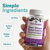 TrueSeaMoss ingredientes sea moss elderberry bladderwrack burdock visual