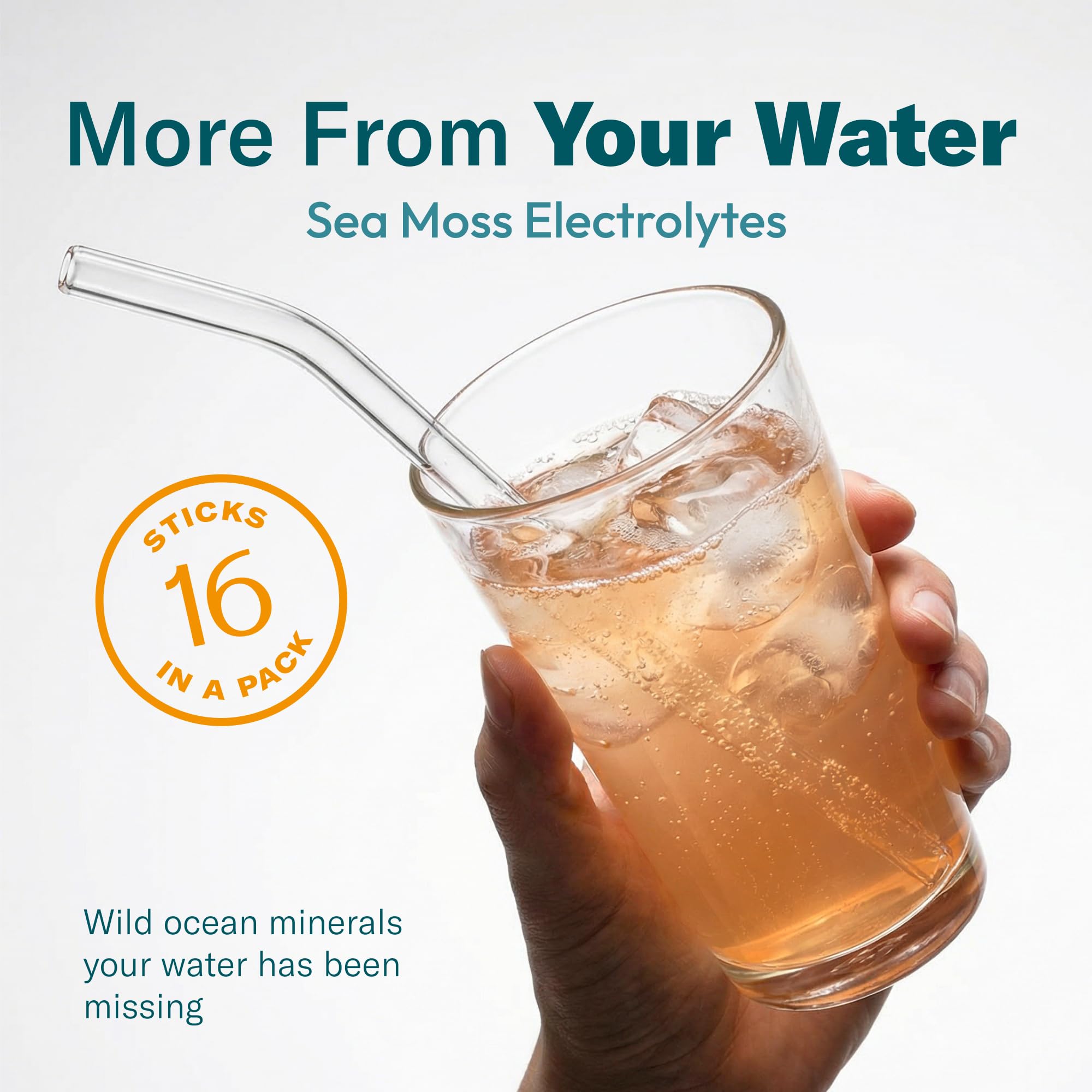 Sobre TrueSeaMoss en mano para comparar tamaño y fácil transporte en viajes