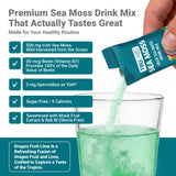 TRULABS polvo de sea moss en primer plano mostrando textura fina