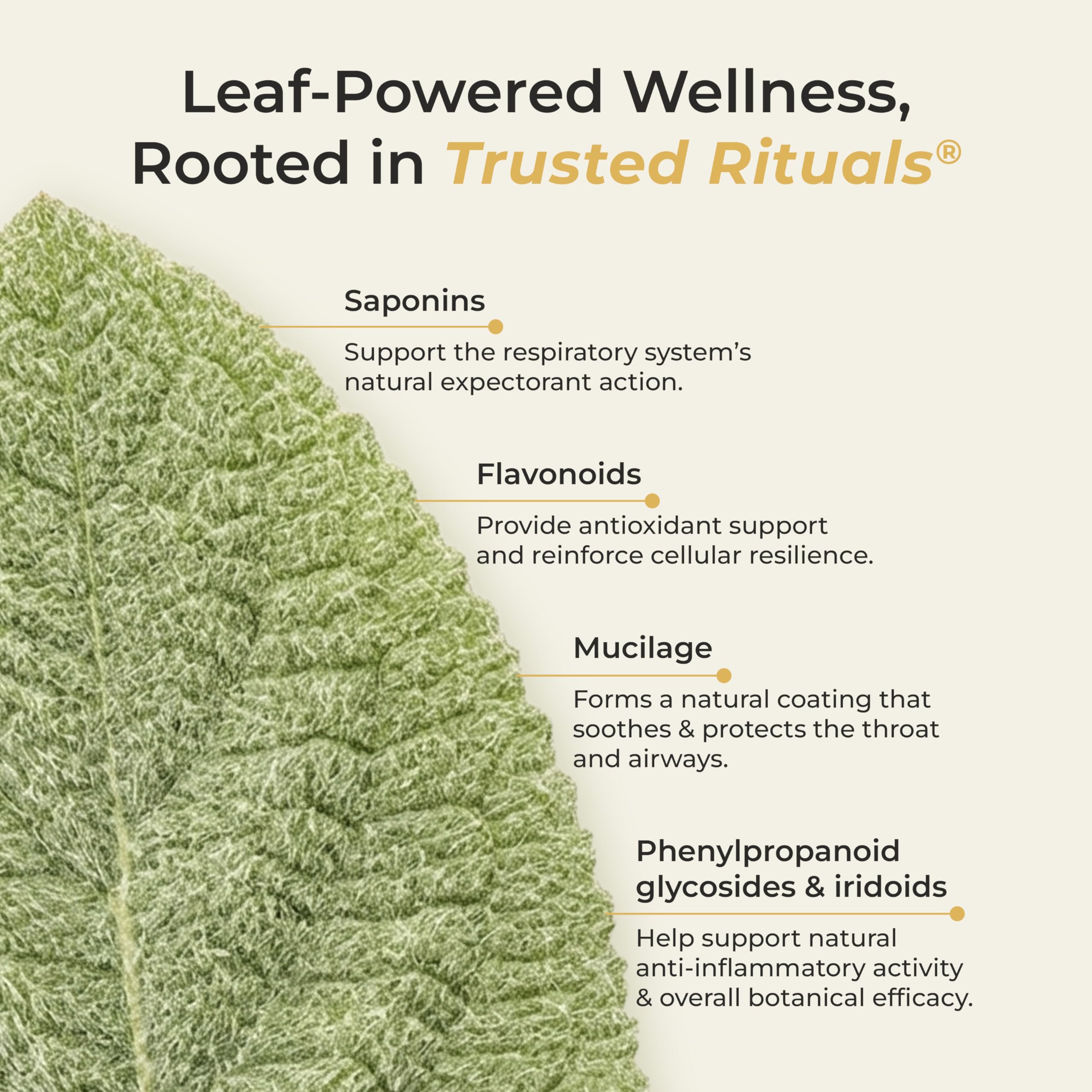 Trusted Rituals stick disuelto en taza de té caliente, endulza y añade confort instantáneo
