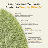 Trusted Rituals stick disuelto en taza de té caliente, endulza y añade confort instantáneo