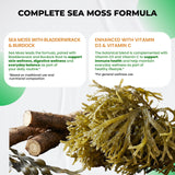 Ultra Herbs cápsulas en la mano para comparar tamaño y dosificación práctica