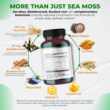 Ultra Herbs ingredientes principales alineados para destacar la mezcla marina