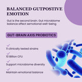 UpNourish ashwagandha raíces y hojas mostrando origen orgánico