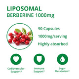 UpNourish cápsula en primer plano resaltando la textura liposomal y calidad