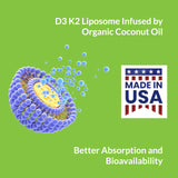 Softgel UpNourish abierto con aceite orgánico de coco, mostrando la base liposomal beneficiosa