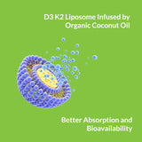 UpNourish detalle de cápsula blanda mostrando textura y calidad de absorción