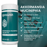 UpNourish detalle de cápsula y textura del polvo, evidencia de calidad y formulación segura