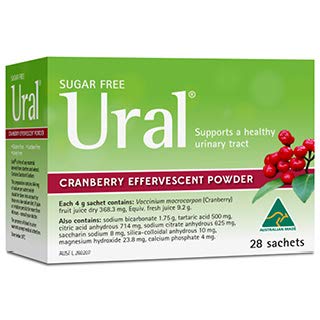 Ural paquete frontal con sobres de arándano, práctico y refrescante