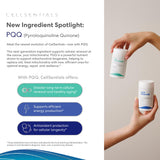 USANA producto integrado en una rutina con botellas y alimentos saludables