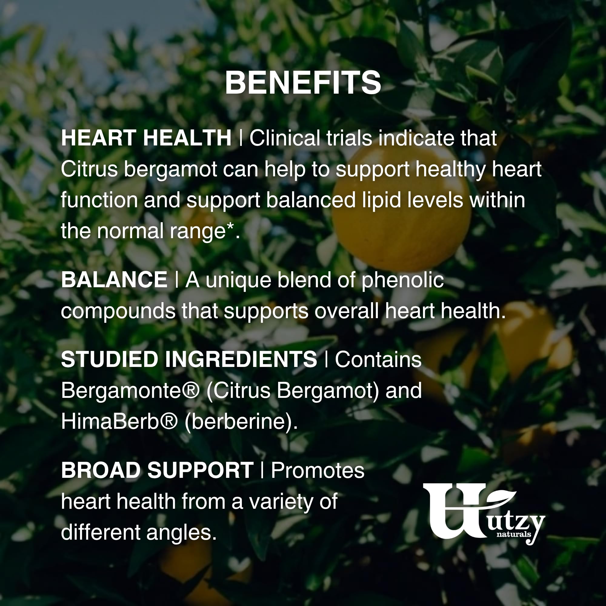 Utzy Naturals envase abierto con cápsulas para visualizar dosis y formato