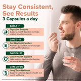 VAHDAM caja abierta con cápsulas para visualización del contenido y cantidad