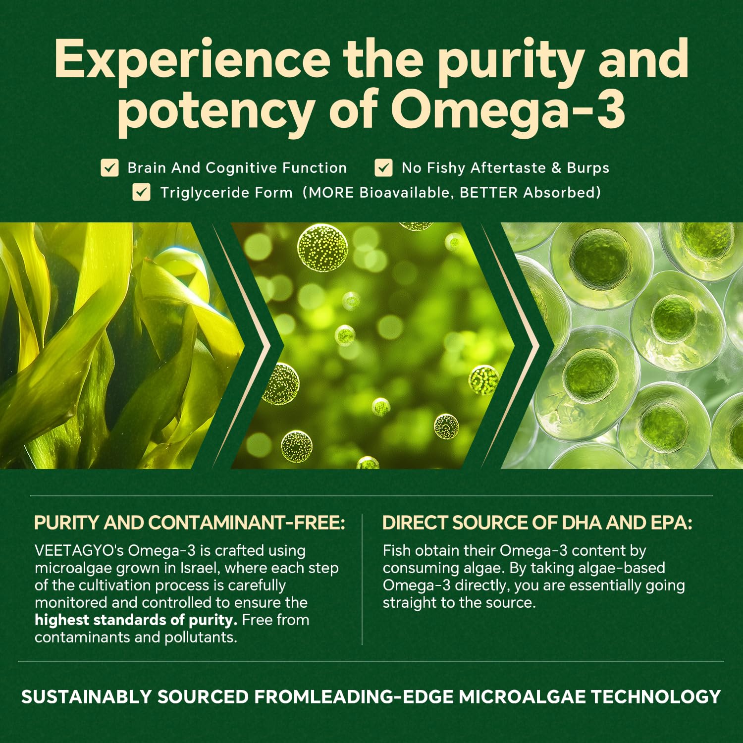 VEETAGYO detalle del núcleo gel que contiene omega‑3 concentrado