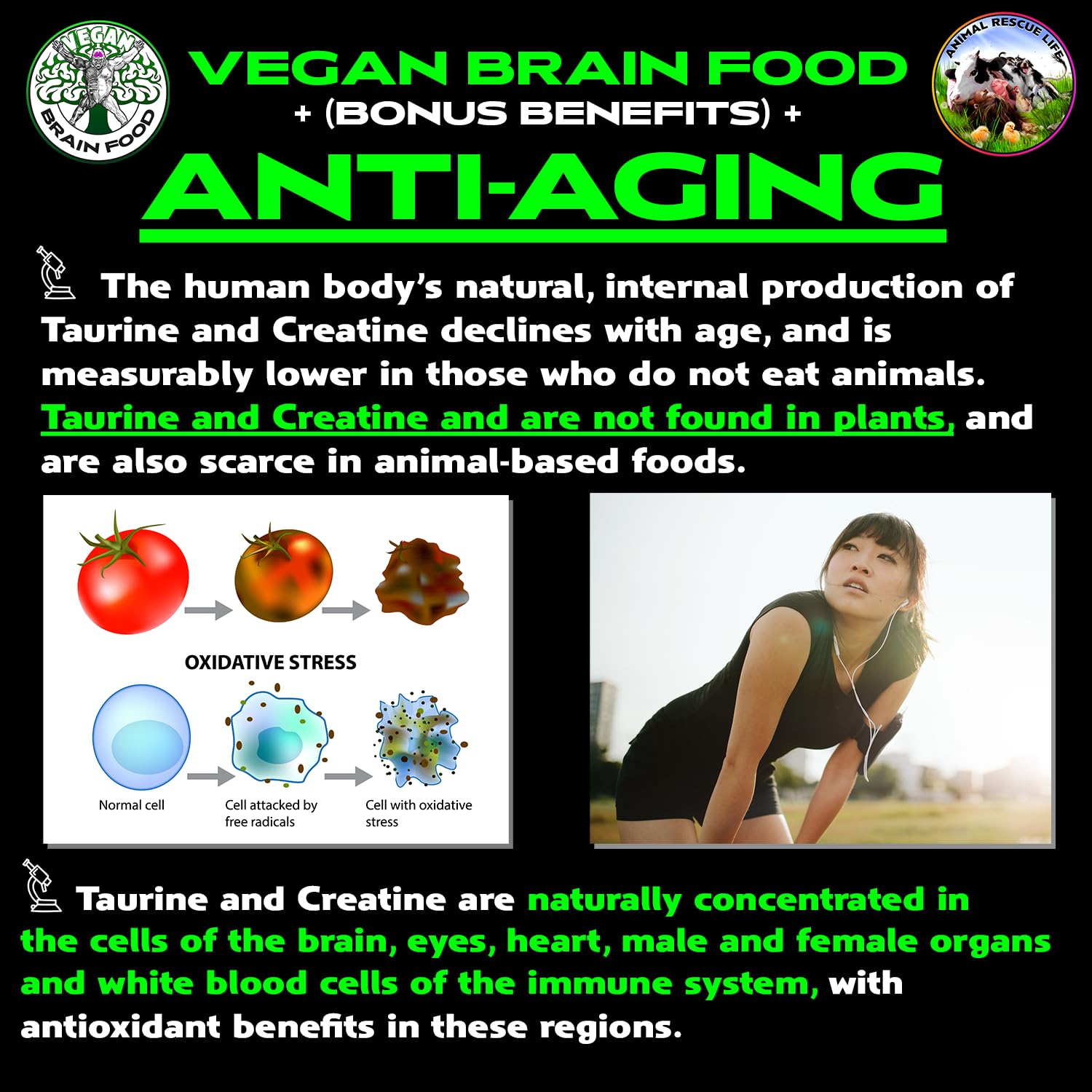 Vegan Brain Food en batido vegetal listo para consumir, energía natural