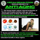 Vegan Brain Food en batido vegetal listo para consumir, energía natural
