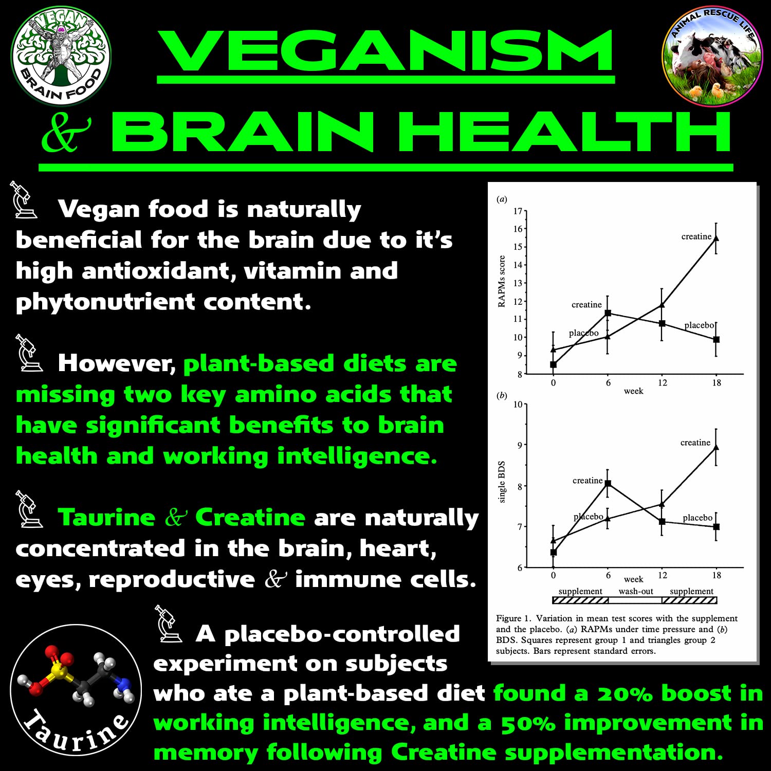 Vegan Brain Food tamaño del envase junto a mano para referencia