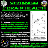 Vegan Brain Food tamaño del envase junto a mano para referencia