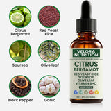 Velora Nutrition gotas en cuentagotas demostrando textura y absorción rápida