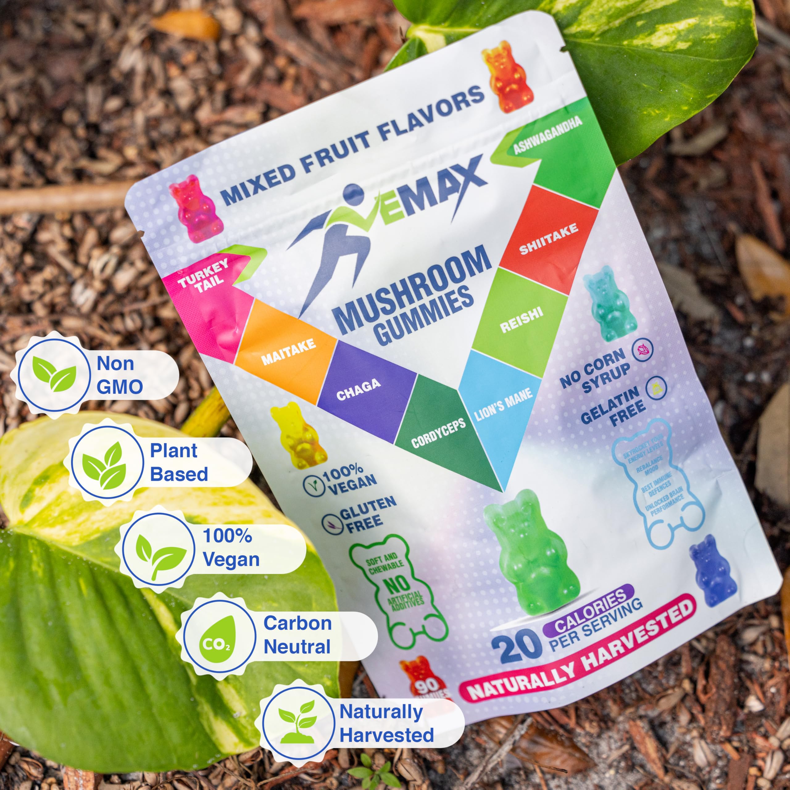 Vemax ilustración con los siete hongos y ashwagandha presentes en la fórmula