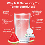 Venture Pal etiqueta con ingredientes y lista de 7 electrolitos y vitaminas