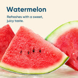 Venture Pal presentación de varios sabores naturales en variedad pack