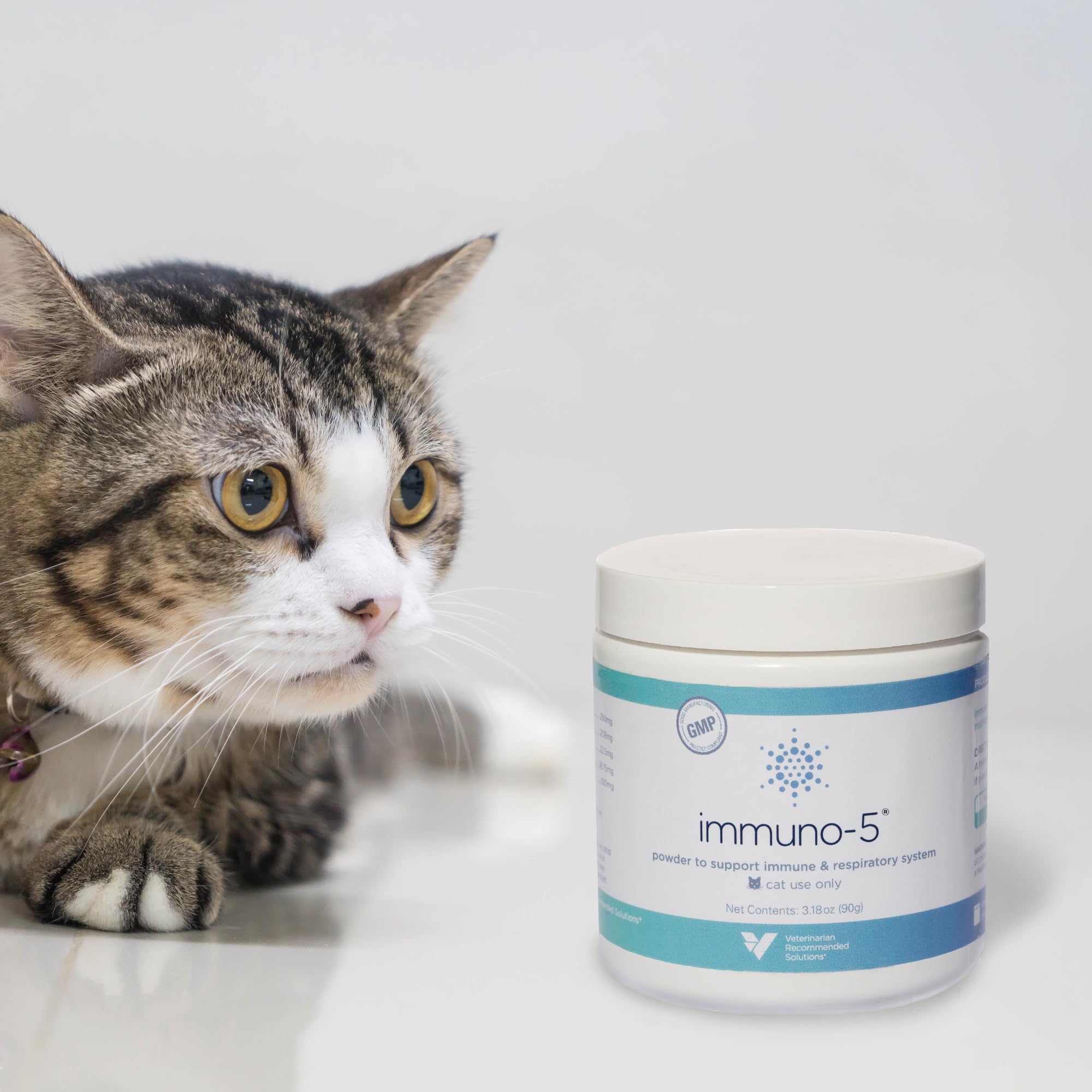 Veterinarian Recommended Solutions gato comiendo alimento con suplemento para cumplimiento diario