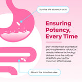 Vevoec Gynable etiqueta de ingredientes destacando cepas y vitaminas