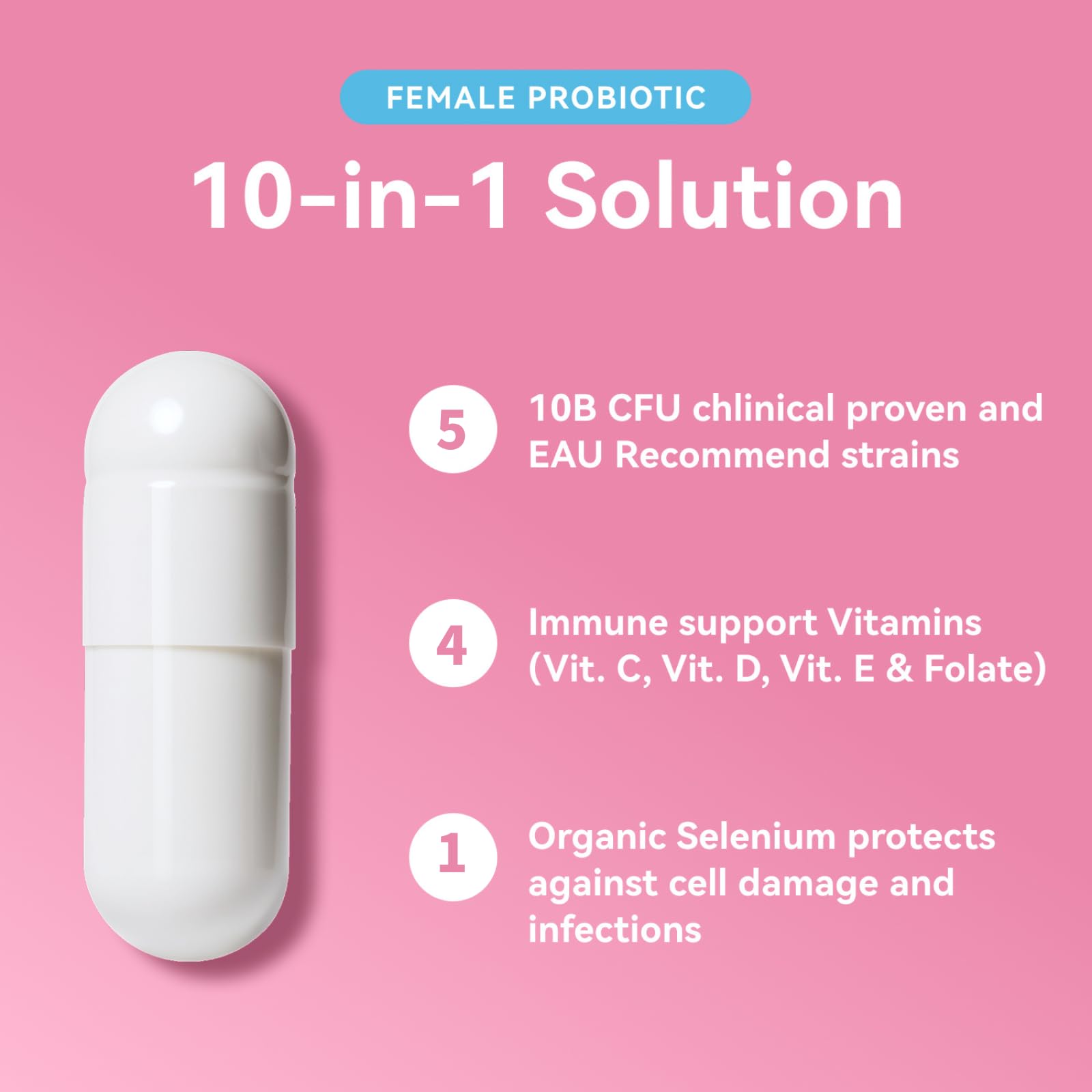 Vevoec Gynable tamaño en mano para comparar escala