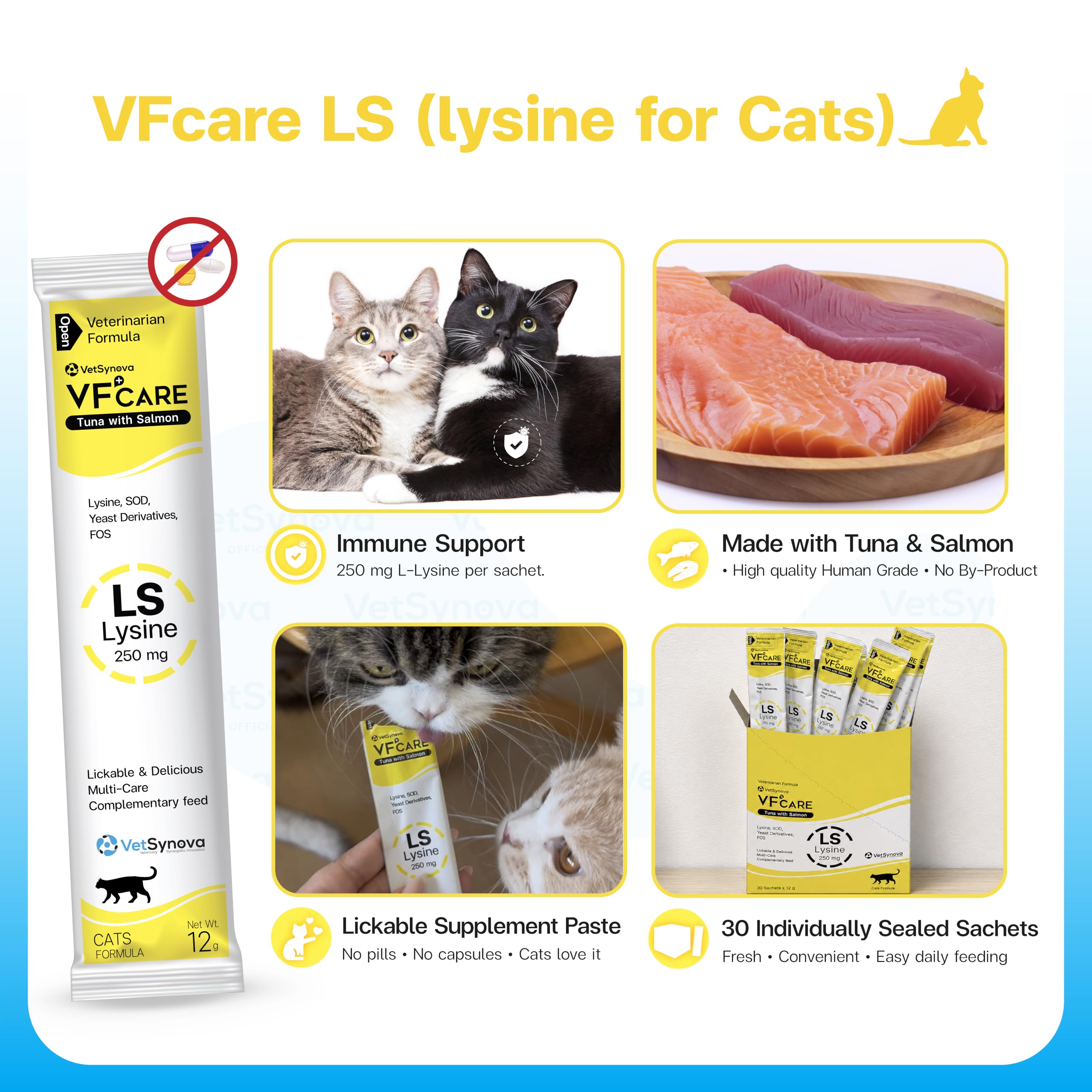 VFCARE gato aceptando la pasta, mejora la adherencia diaria
