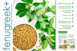 VH Nutrition polvo de fenogreco textura natural para potencia
