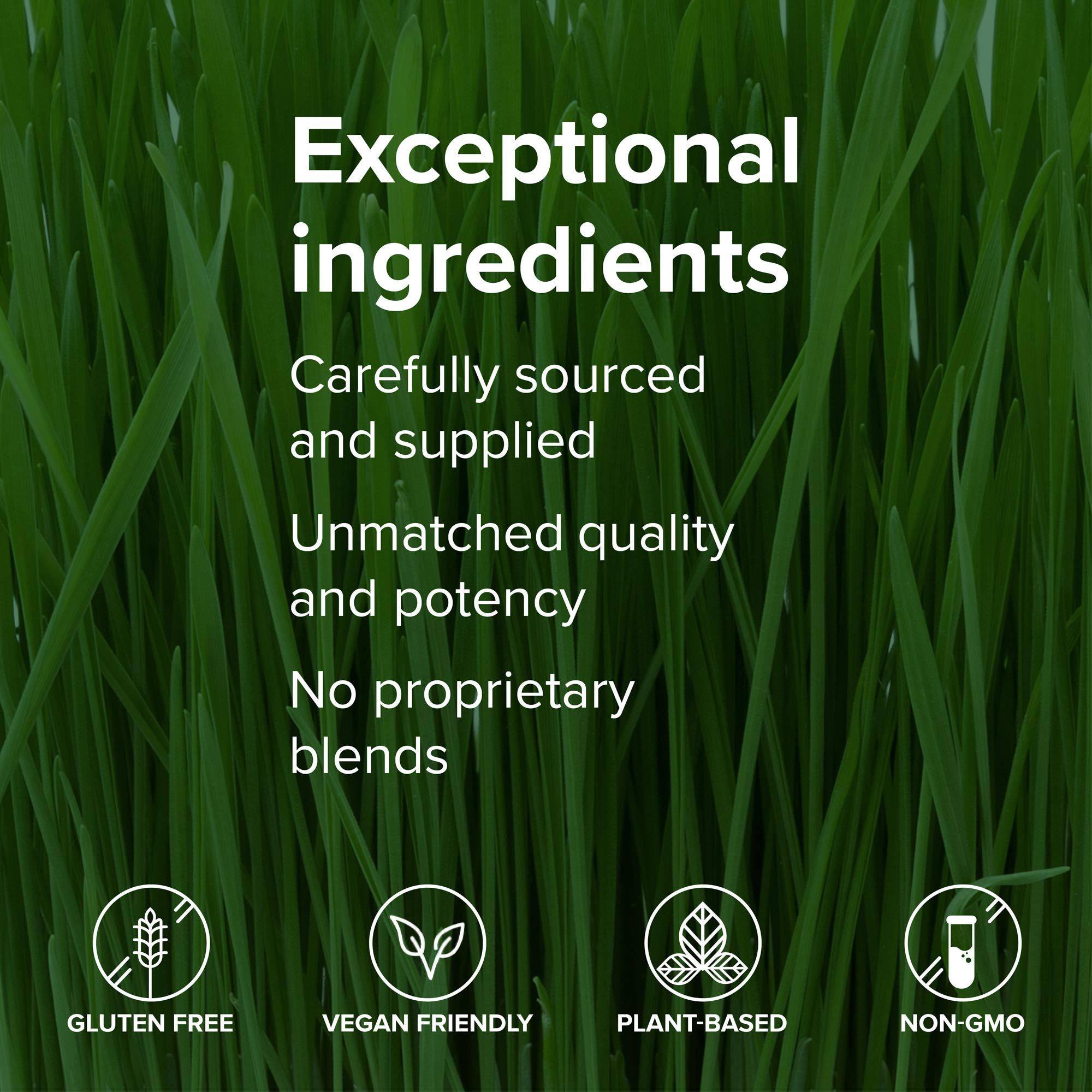 Vibrant Health etiqueta nutricional enfocada en transparencia de ingredientes