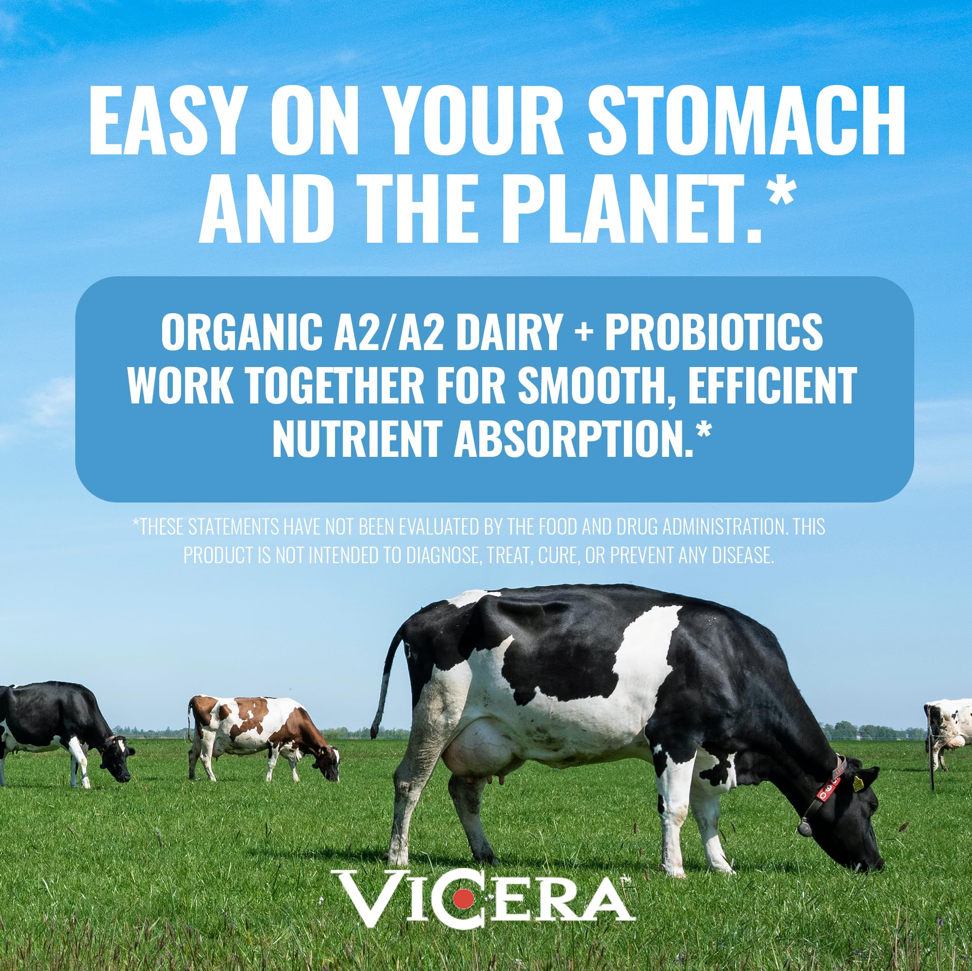 VICERA batido cremoso en vaso, sabor chocolate leche apetecible
